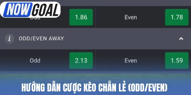 Hướng dẫn cược kèo chẵn lẻ (Odd/Even)