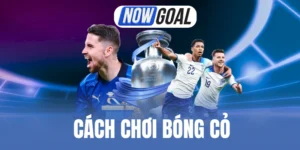 Cách Chơi Bóng Cỏ - Thủ Thuật Cược Kiếm Lợi Nhuận Lớn