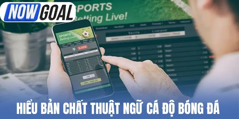 Hiểu bản chất thuật ngữ cá độ bóng đá